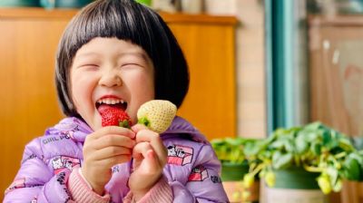 【年卡活动】草莓种植