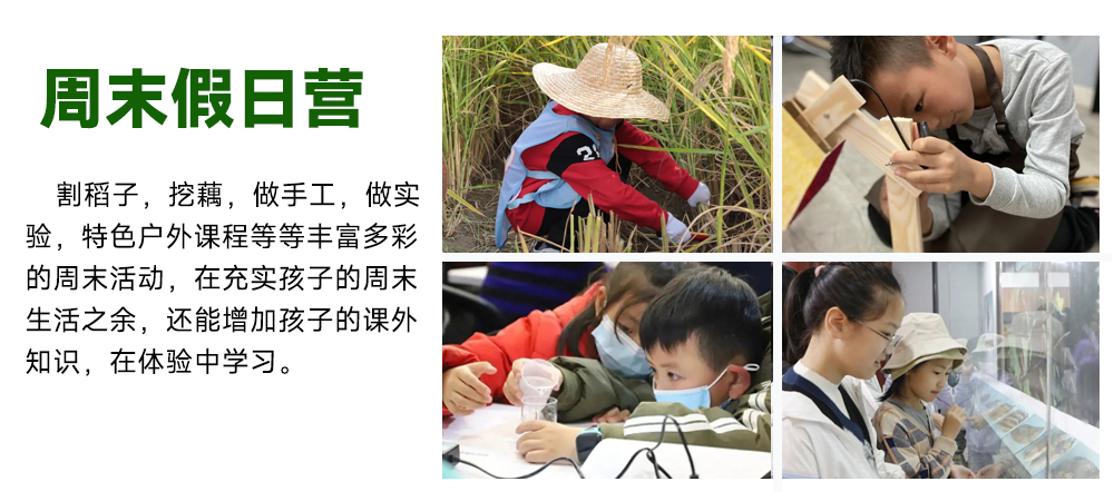 活动介绍2.jpg
